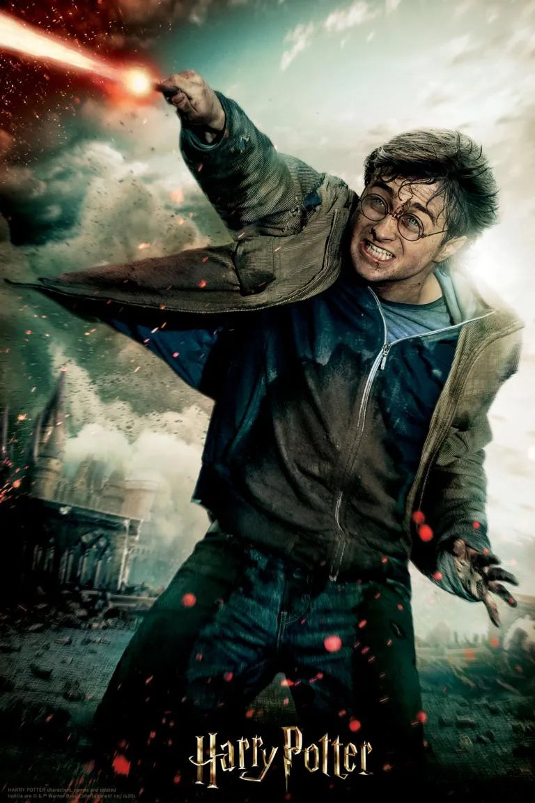 3D Pusle "Harry Potter in collector's box" 300 tk-108 Jigsaw Puzzles-Brain Games OÜ
