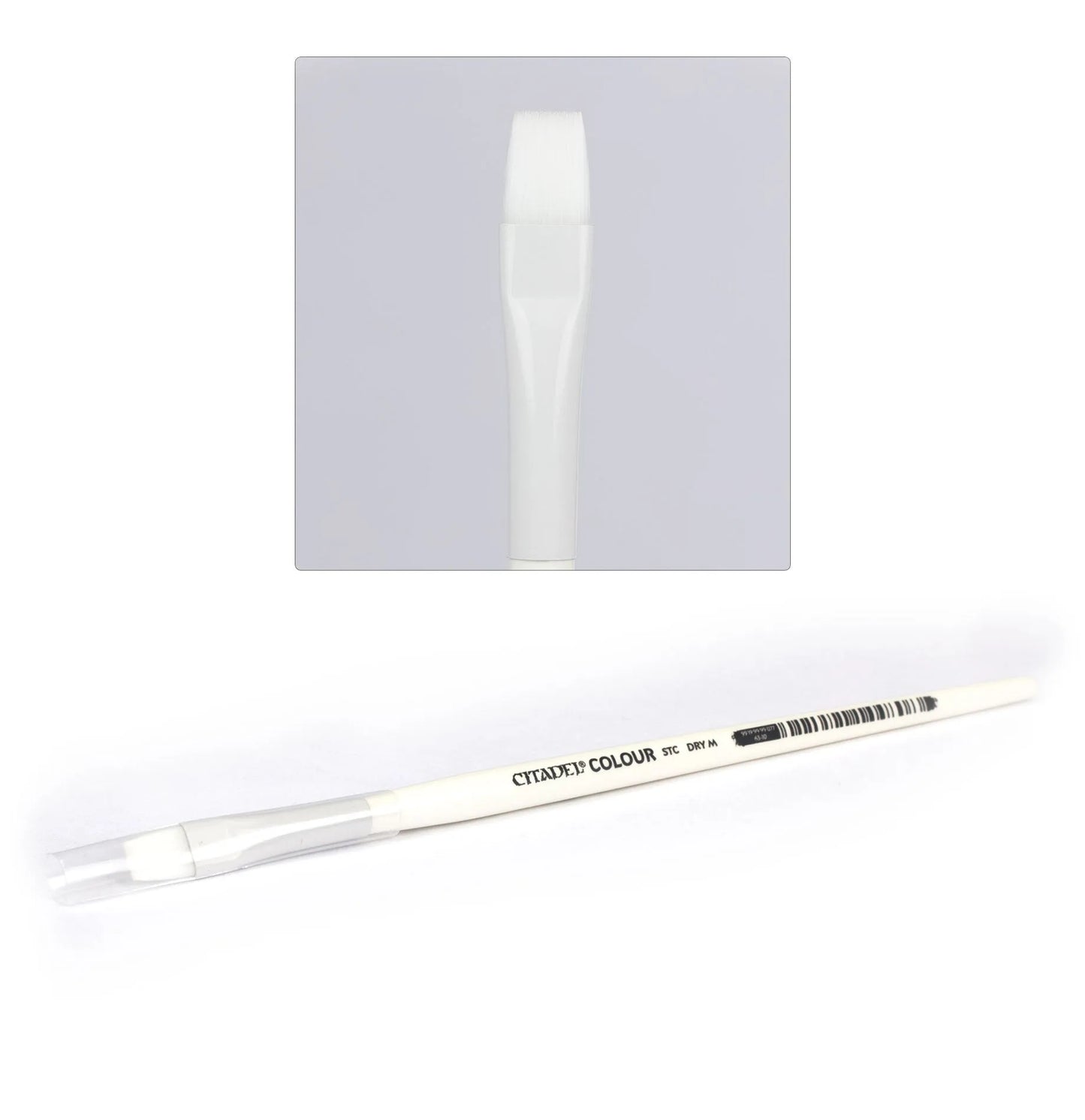 Citadel Brush: Synthetic Drybrush (Medium)-201 Out of Print / Discontinued-Brain Games OÜ