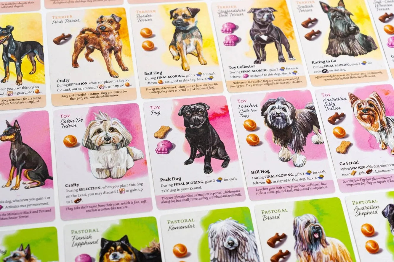 Dog Park-Seltskonnamängud-Brain Games OÜ