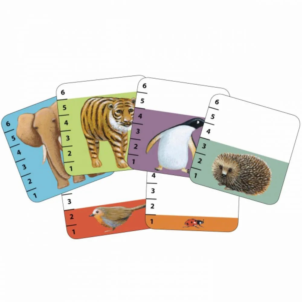 Lauamäng "Batanimo"-101 Board / Card Games-Brain Games OÜ