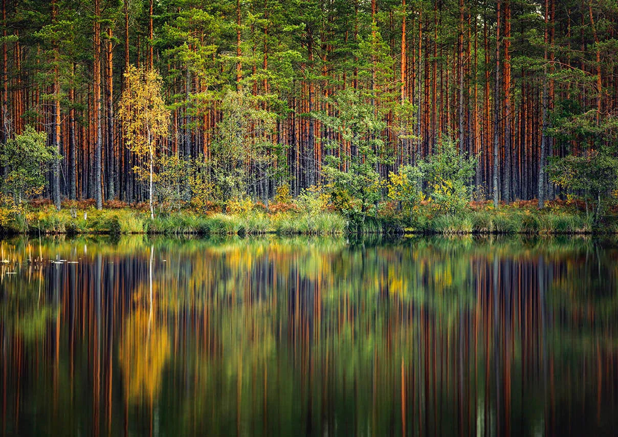 Pusle "Garezeri, Latvia" 1000 tk-w108 WHS Jigsaw Puzzles-Brain Games OÜ