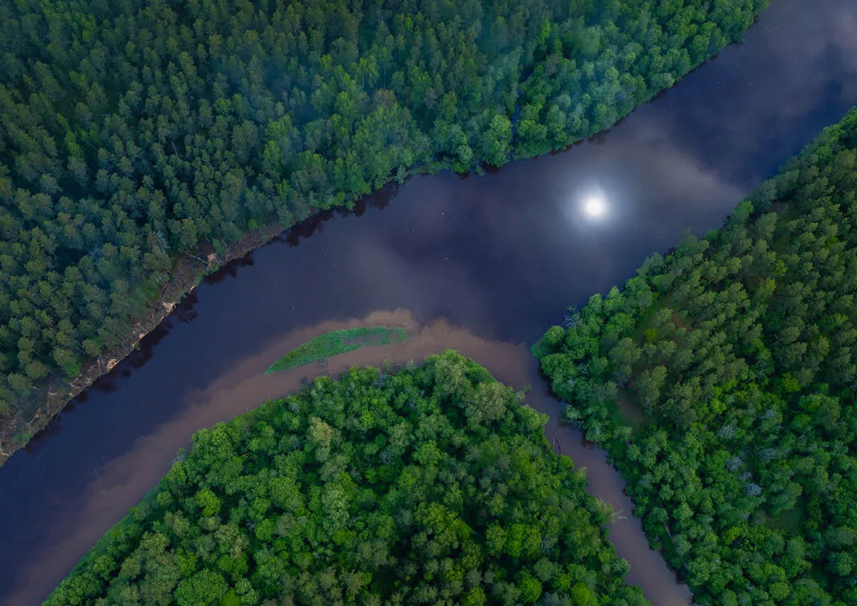 Pusle "Gauja National Park, Latvia. River" 1000 tk-w108 WHS Jigsaw Puzzles-Brain Games OÜ