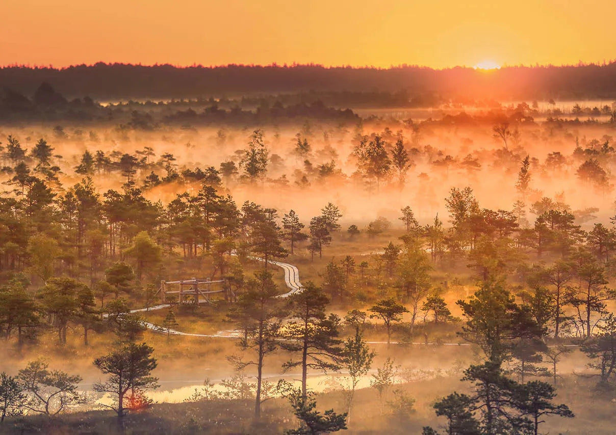 Pusle "Great Kemeru Bog, Latvia" 1000 tk-w108 WHS Jigsaw Puzzles-Brain Games OÜ