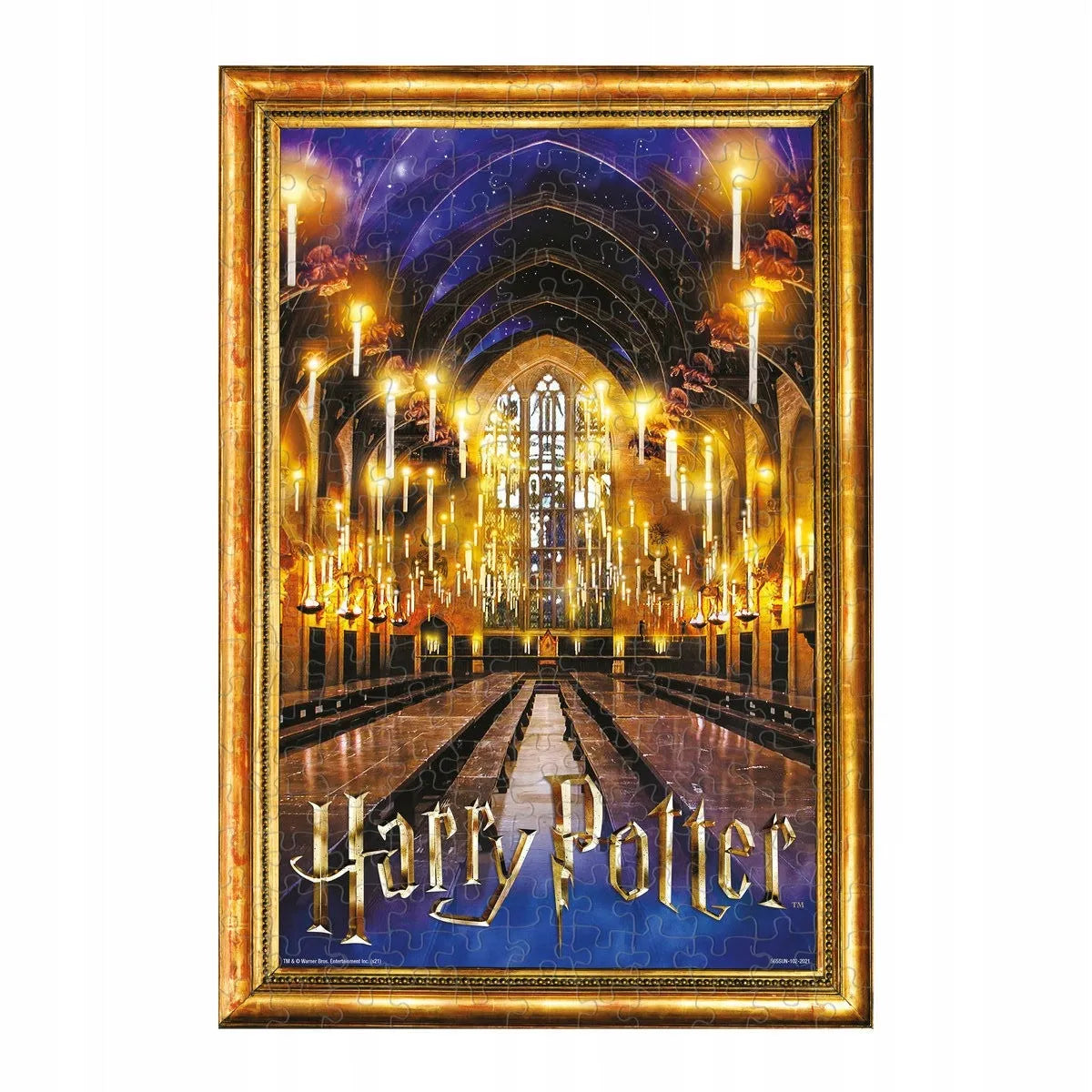 Pusle "Harry Potter Great Hall" 500 tk-108 Jigsaw Puzzles-Brain Games OÜ
