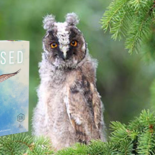 "Tiivulised" ostuga toetad Eesti lindude pesitsusrahu