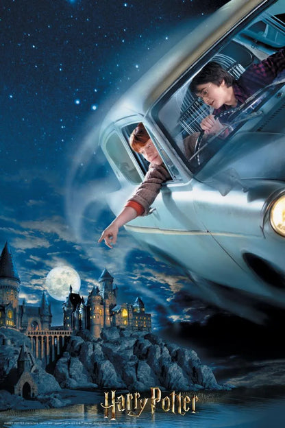 3D Pusle "Harry & Ron in collector's box" 300 tk-108 Jigsaw Puzzles-Brain Games OÜ