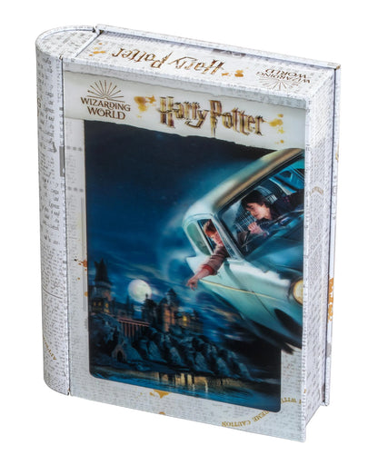3D Pusle "Harry & Ron in collector's box" 300 tk-108 Jigsaw Puzzles-Brain Games OÜ