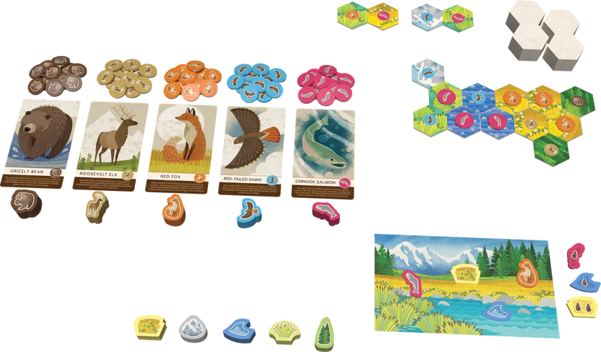 Cascadia Junior-001 Board / Card Games-Brain Games OÜ