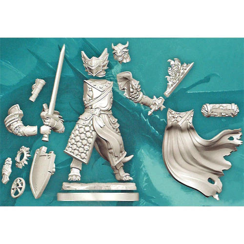 D&D miniatuur Dragonborn Paladin Male