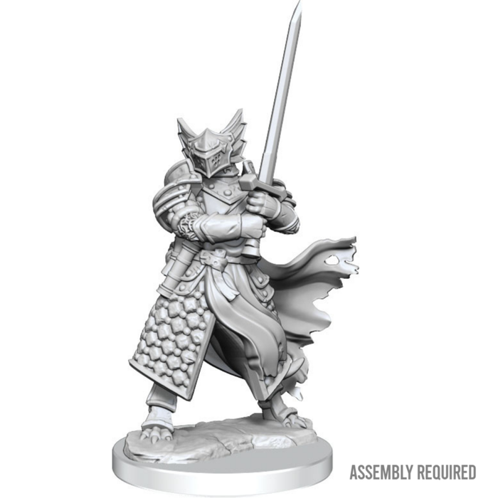D&D miniatuur Dragonborn Paladin Male