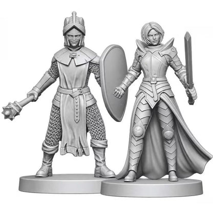 D&D Nolzur's Marvelous Miniatures: Black Gauntlet & Zhentilar Paladin of Bane