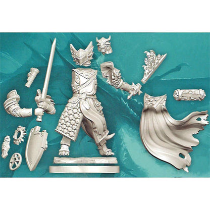 D&D miniatuur Dragonborn Paladin Male-103 Miniature Gaming-Brain Games OÜ