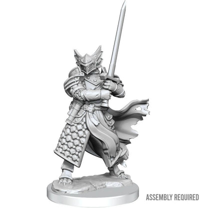 D&D miniatuur Dragonborn Paladin Male-103 Miniature Gaming-Brain Games OÜ