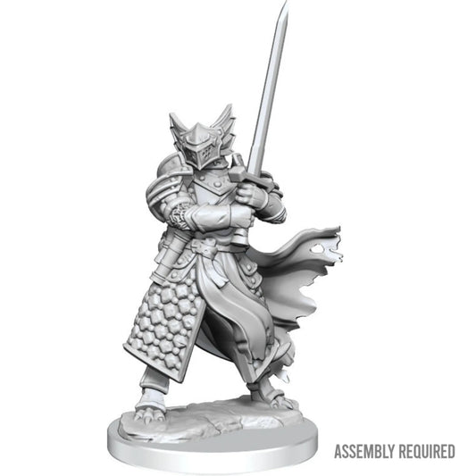 D&D miniatuur Dragonborn Paladin Male-103 Miniature Gaming-Brain Games OÜ