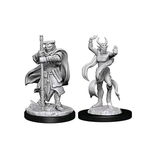D&D Nolzur's Marvelous miniatuurid: Hobgoblin Devastator & Iron Shadow-Strateegiamängud-Brain Games OÜ