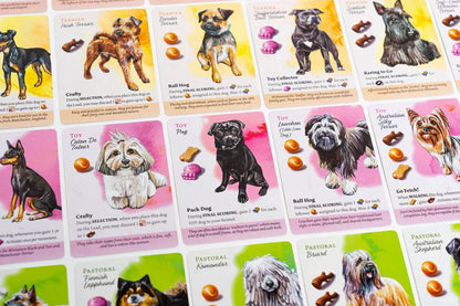 Dog Park-Seltskonnamängud-Brain Games OÜ
