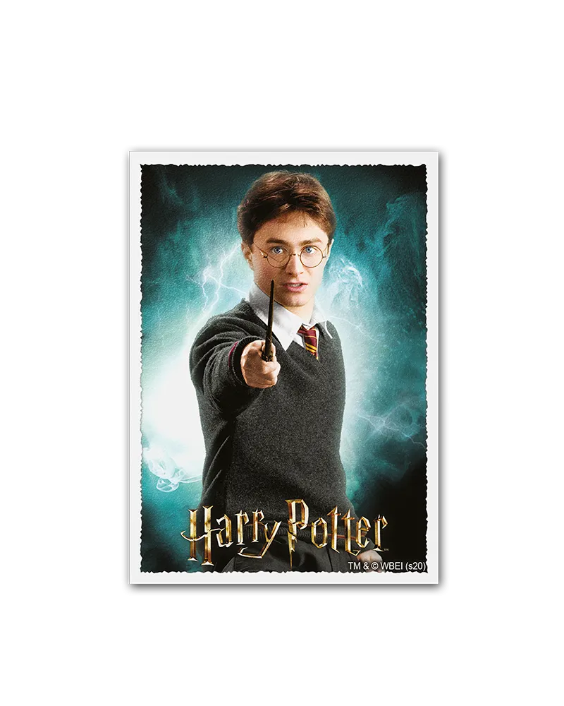Dragon Shield Sleeves - Matte Art Harry Potter-104 Accessories-Brain Games OÜ
