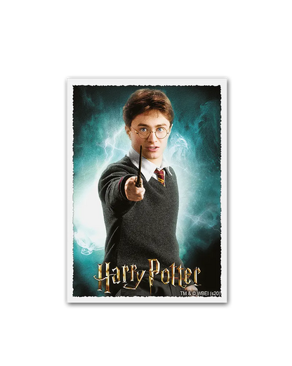 Dragon Shield Sleeves - Matte Art Harry Potter-104 Accessories-Brain Games OÜ