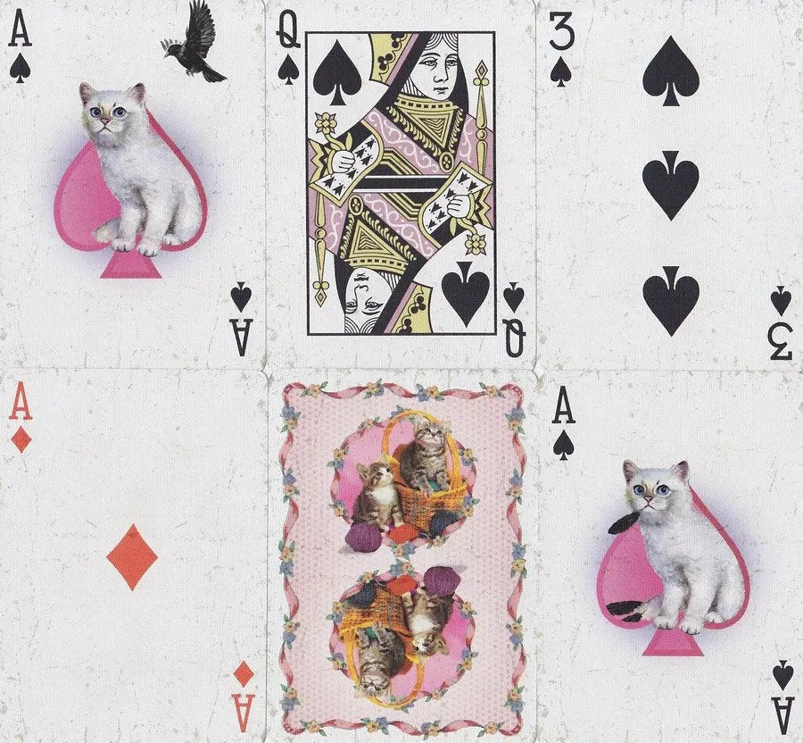 Ellusionist Madison Kittens Pink-105 Poker Sets-Brain Games OÜ