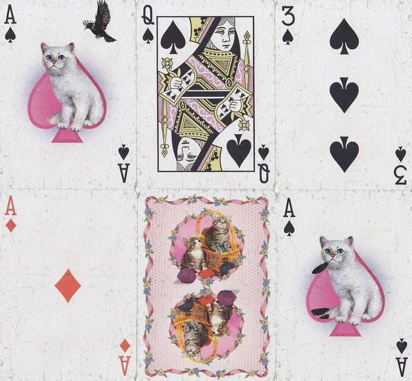 Ellusionist Madison Kittens Pink-105 Poker Sets-Brain Games OÜ