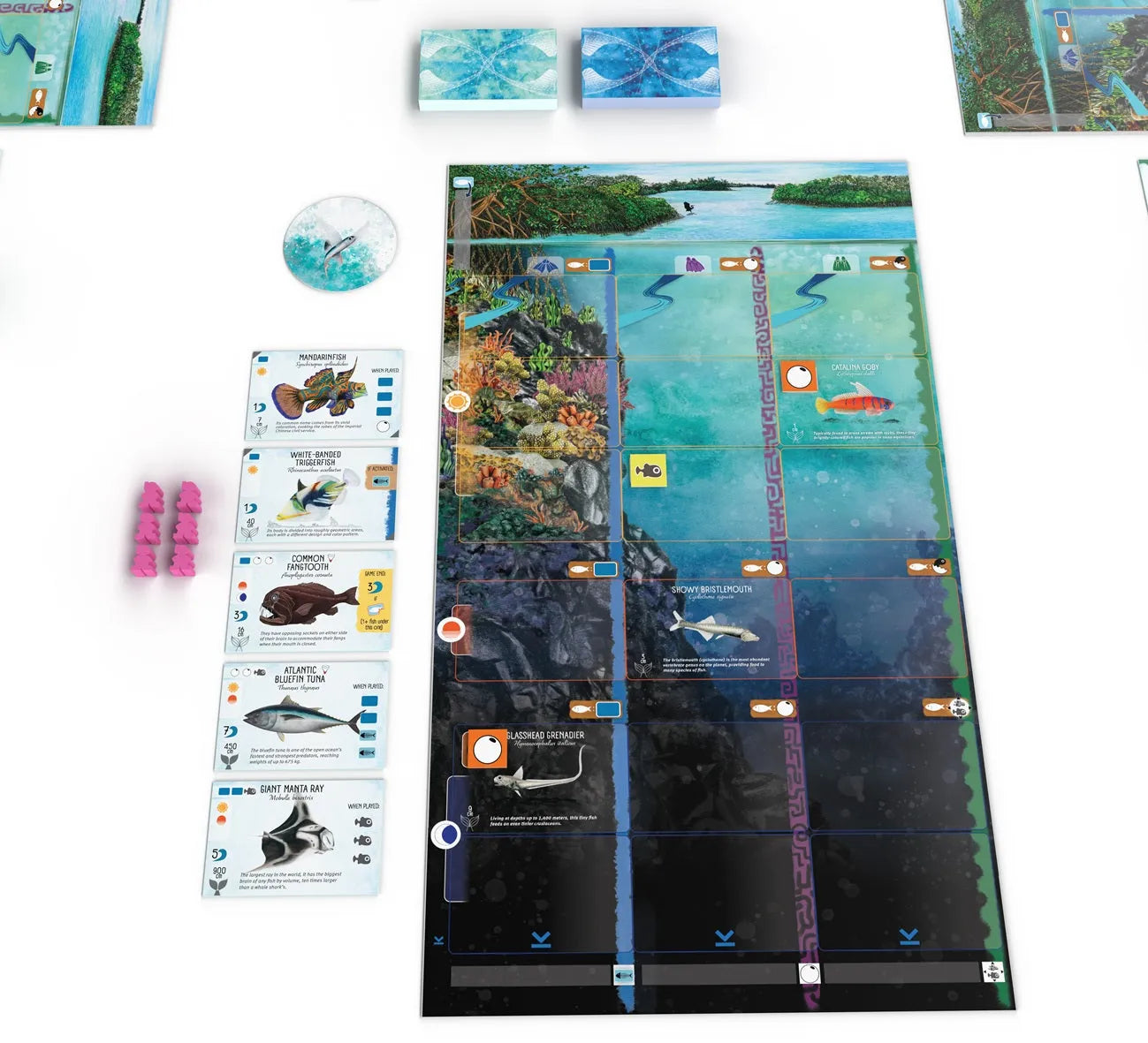 Finspan-101 Board / Card Games-Brain Games OÜ