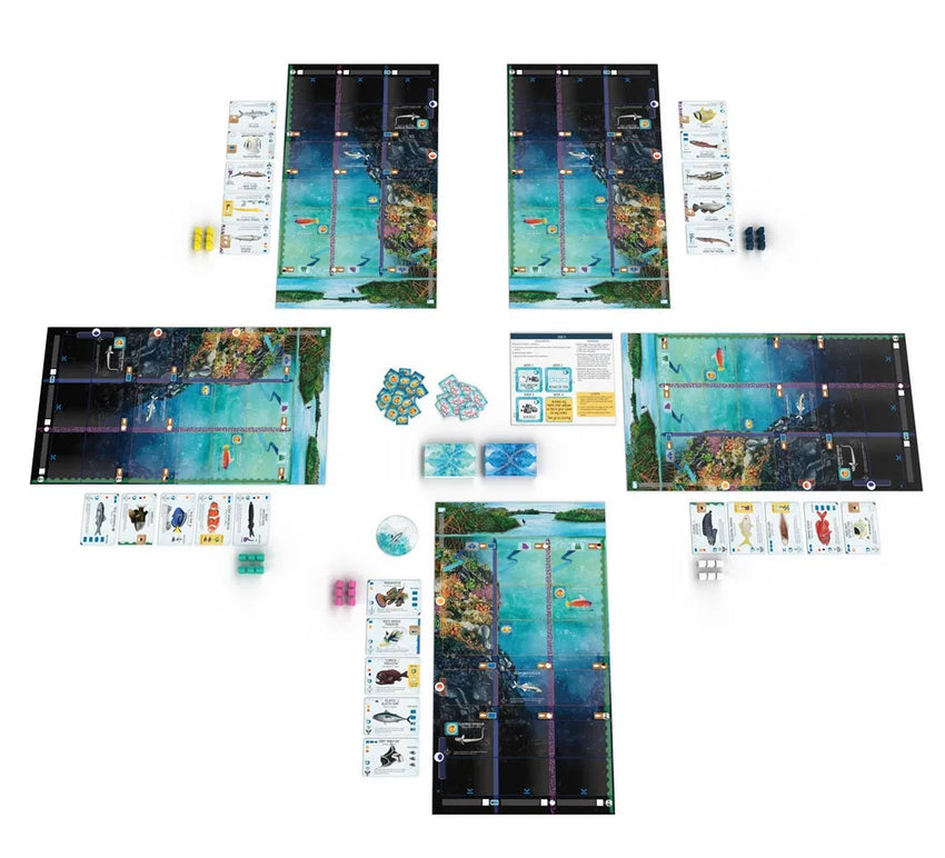 Finspan-101 Board / Card Games-Brain Games OÜ