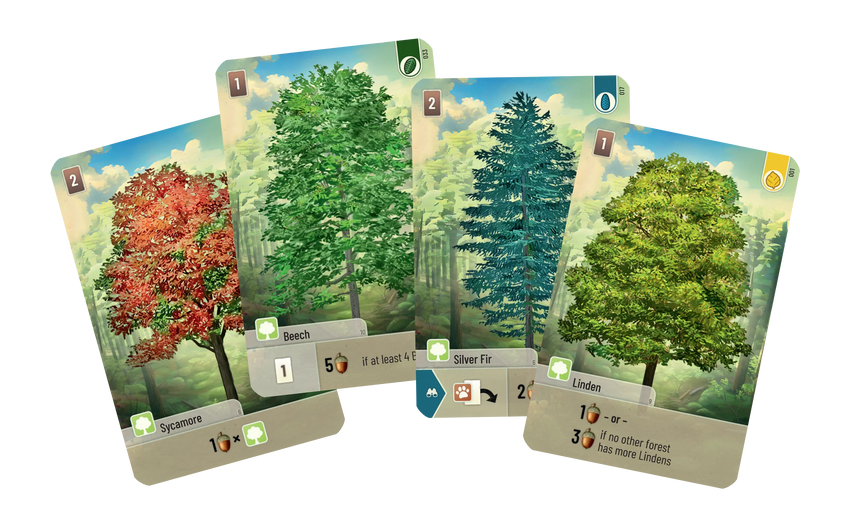 Forest Shuffle-Strateegiamängud-Brain Games OÜ