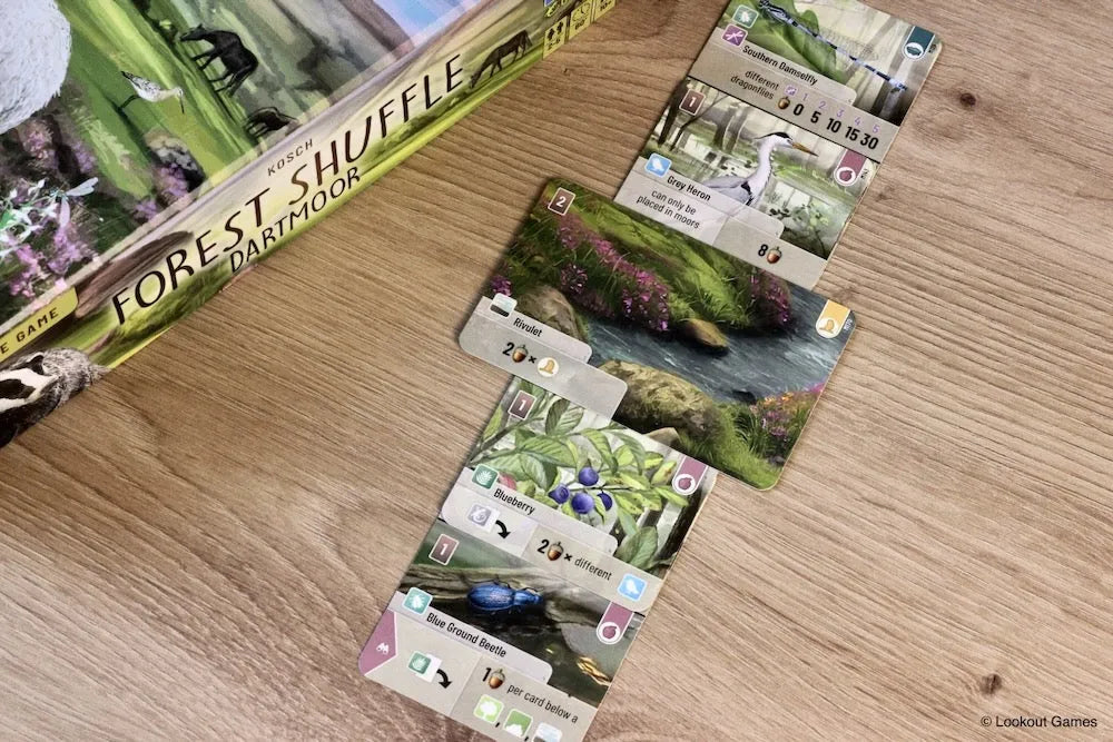 Forest Shuffle: Dartmoor-101 Board / Card Games-Brain Games OÜ