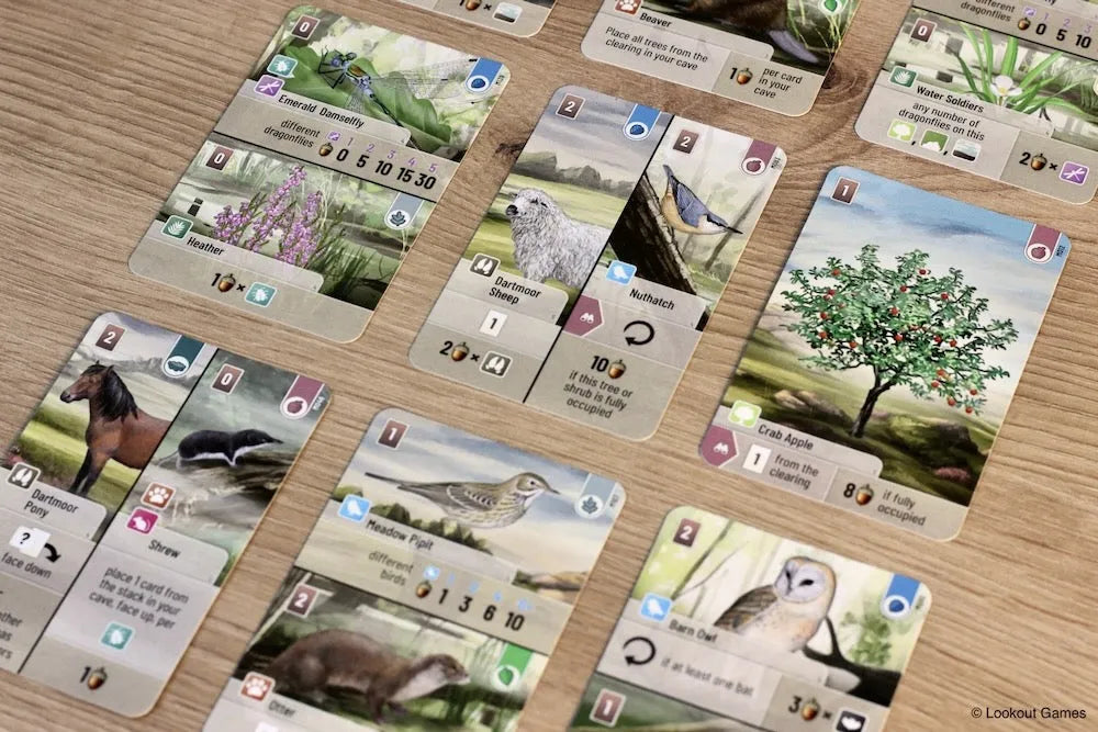 Forest Shuffle: Dartmoor-101 Board / Card Games-Brain Games OÜ