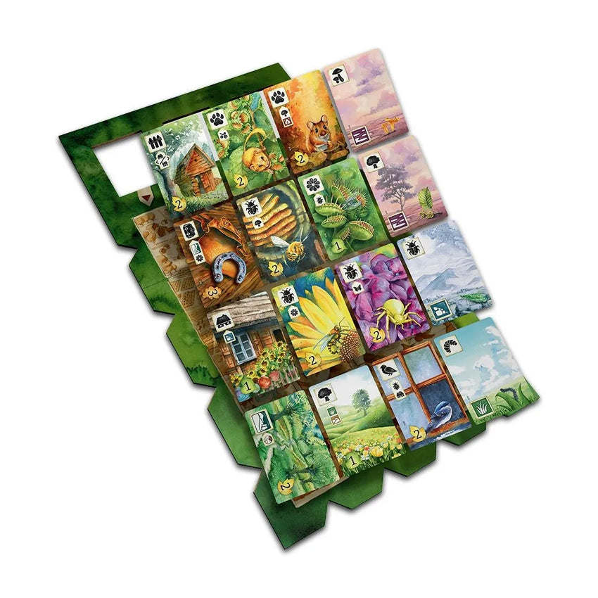 Meadow-001 Board / Card Games-Brain Games OÜ