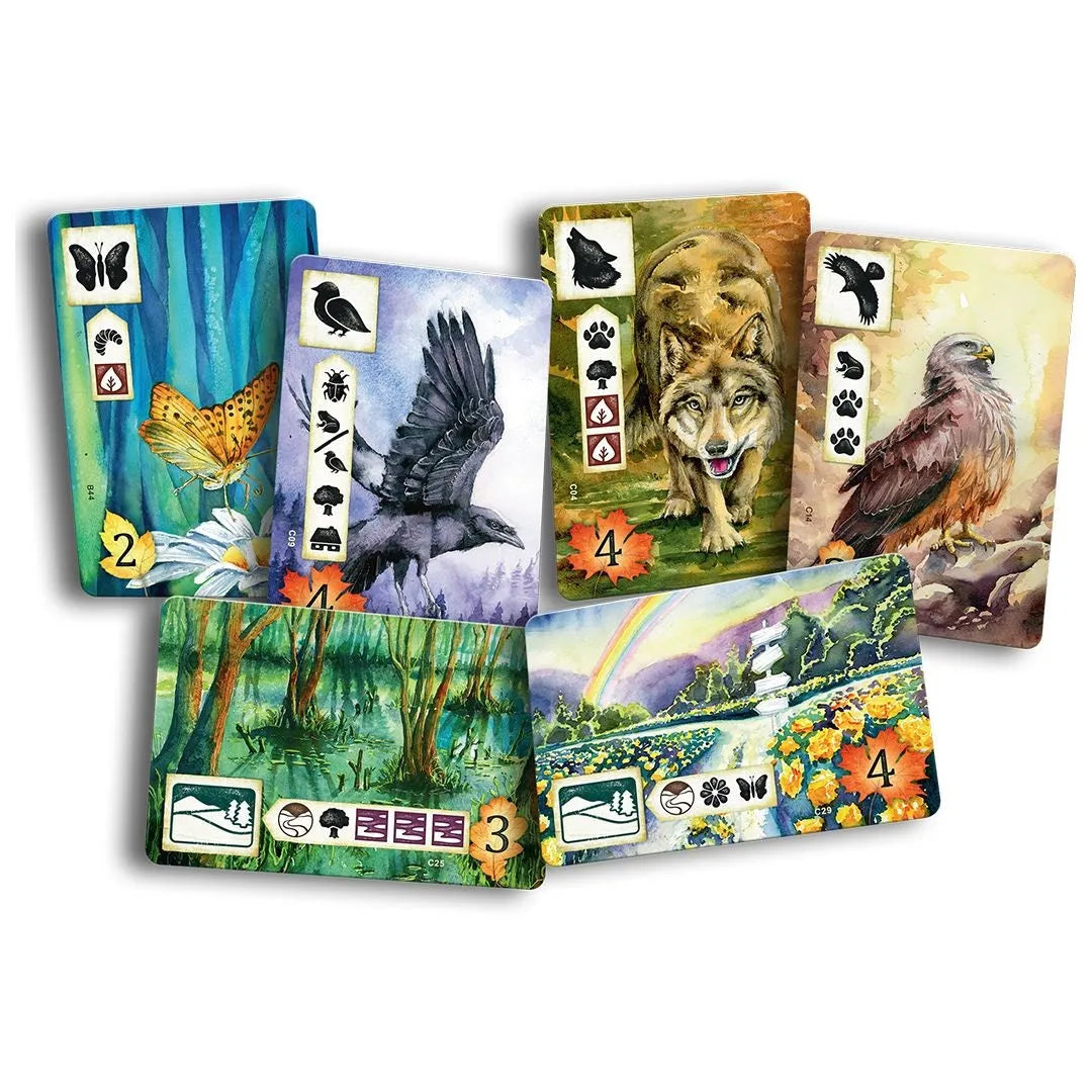 Meadow-001 Board / Card Games-Brain Games OÜ