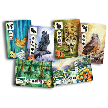 Meadow-001 Board / Card Games-Brain Games OÜ