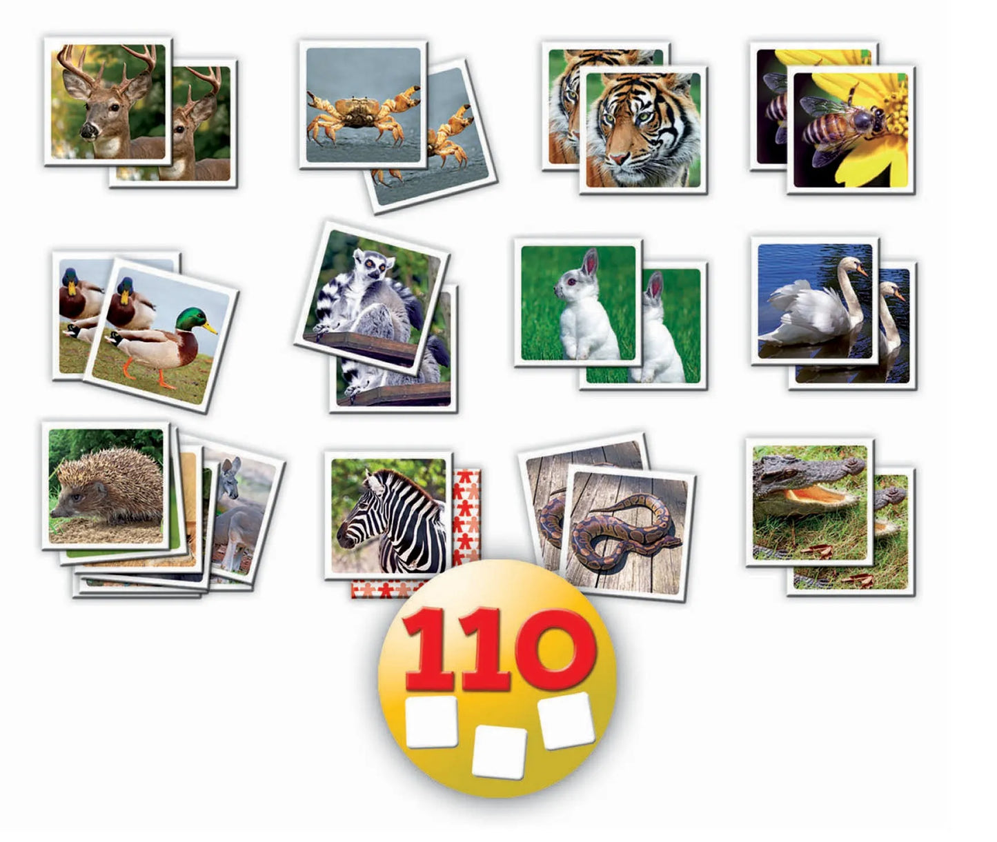 Memoriin "Identic Natura"-w008 WHSX Jigsaw Puzzles-Brain Games OÜ