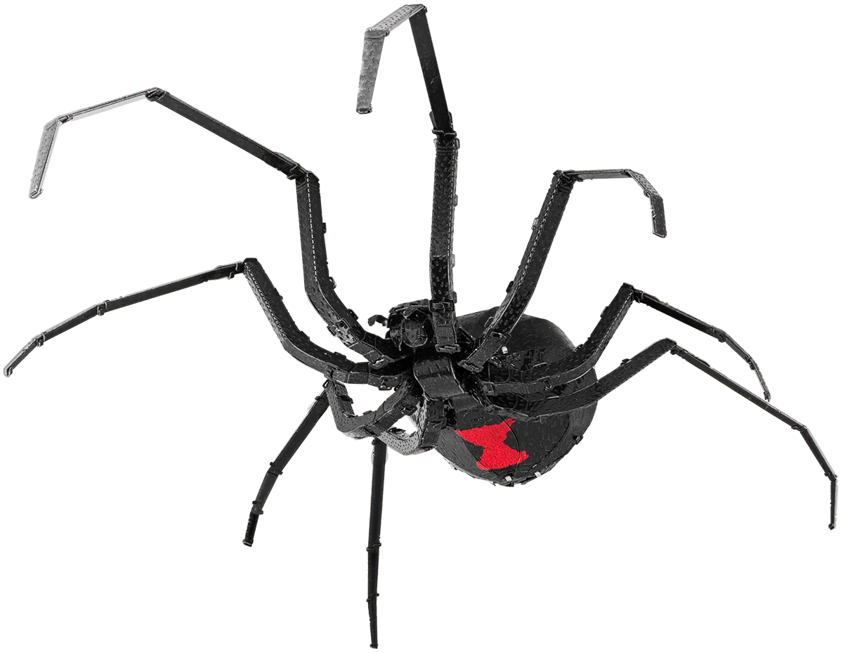 Metal Earth "Black Widow Spider"-w011 WHSX Creativity & Brain Teasers-Brain Games OÜ