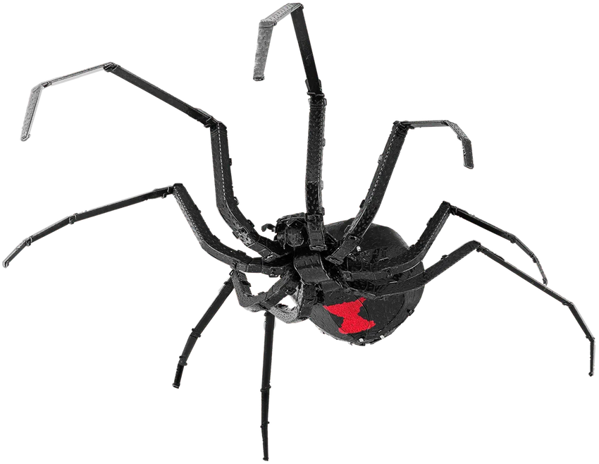 Metal Earth "Black Widow Spider"-w011 WHSX Creativity & Brain Teasers-Brain Games OÜ