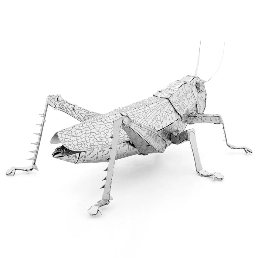 Metal Earth "Grasshopper"-w011 WHSX Creativity & Brain Teasers-Brain Games OÜ