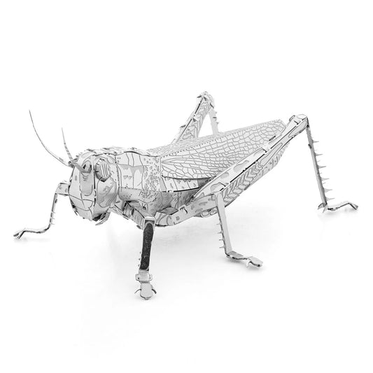 Metal Earth "Grasshopper"-w011 WHSX Creativity & Brain Teasers-Brain Games OÜ