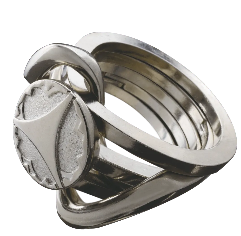 Nuputamisvigur "Cast Ring II"-111 Creativity & Brain Teasers-Brain Games OÜ