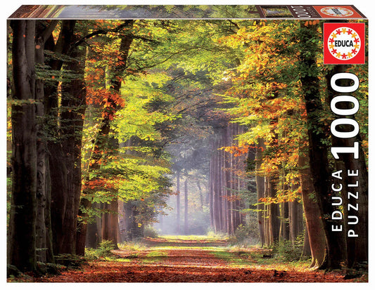 Pusle "Fall Walkway" 1000 tk-w008 WHSX Jigsaw Puzzles-Brain Games OÜ