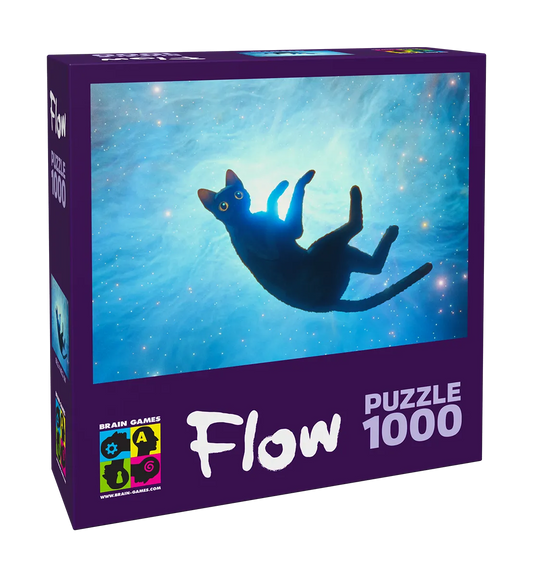 Pusle "Flow - Kass" 1000 tk