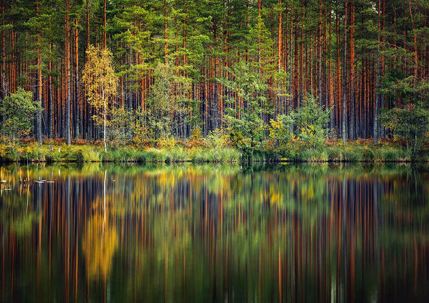 Pusle "Garezeri, Latvia" 1000 tk-w108 WHS Jigsaw Puzzles-Brain Games OÜ