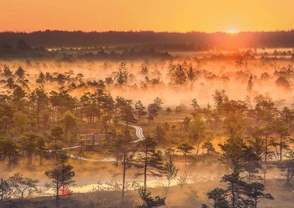 Pusle "Great Kemeru Bog, Latvia" 1000 tk-w108 WHS Jigsaw Puzzles-Brain Games OÜ
