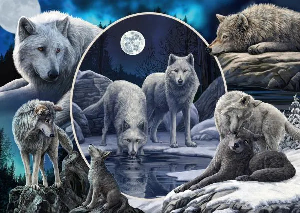 Pusle "Magnificent Wolves" 1000 tk-w008 WHSX Jigsaw Puzzles-Brain Games OÜ