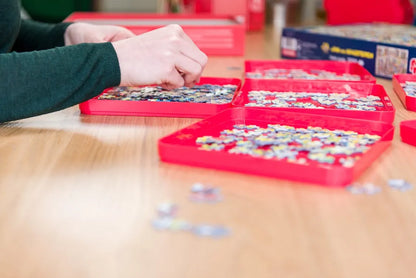 Pusle organiseerimis kandikud (6 tk 20 x 20 cm)-108 Jigsaw Puzzles-Brain Games OÜ