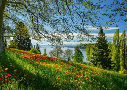 Pusle "Tulips flowering - Mainau Island" 1000 tk-w008 WHSX Jigsaw Puzzles-Brain Games OÜ