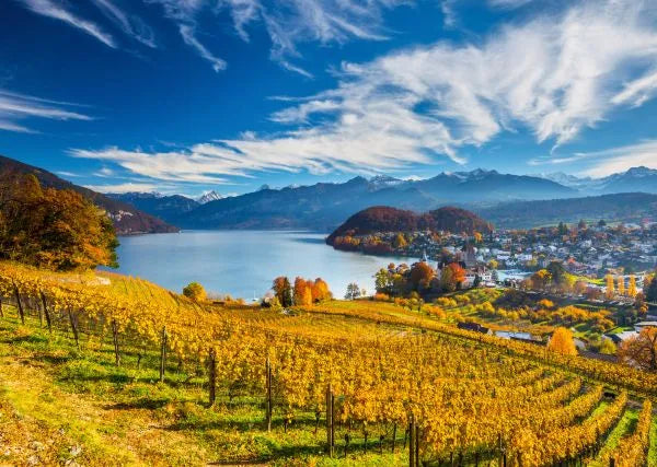 Pusle "Vineyard" 2000 tk-w008 WHSX Jigsaw Puzzles-Brain Games OÜ