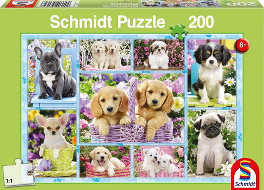Pusle: Welpen, 200 tk-w008 WHSX Jigsaw Puzzles-Brain Games OÜ