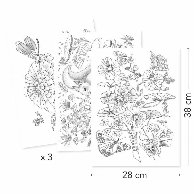 Värvimislehed "Naturalist"-010 Toys-Brain Games OÜ