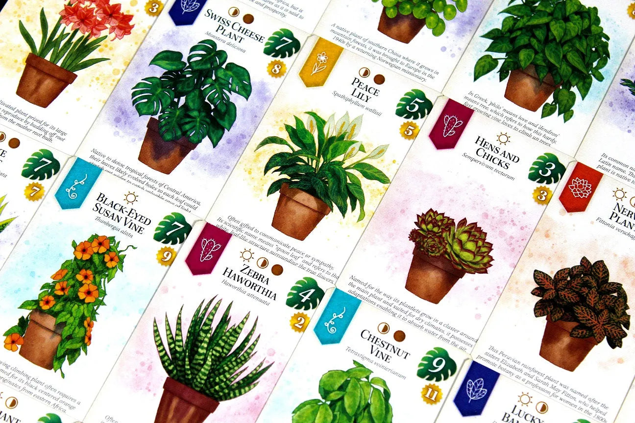 Verdant-101 Board / Card Games-Brain Games OÜ