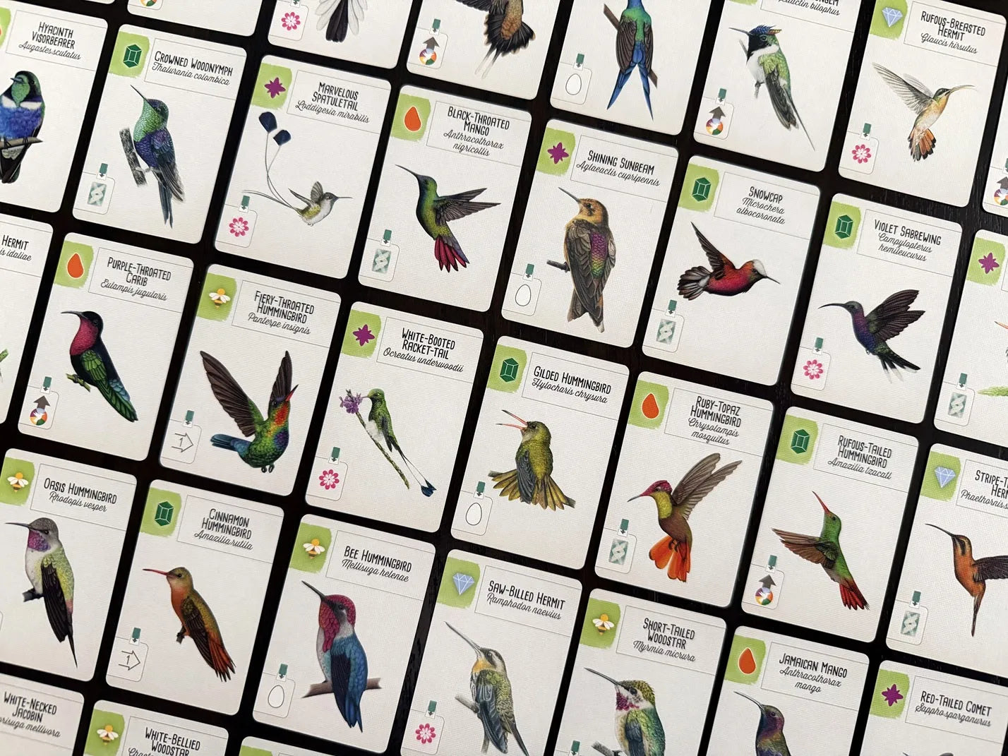Wingspan Americas Expansion-101 Board / Card Games-Brain Games OÜ